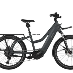 Riese & Müller Multicharger Mixte GT Touring 750 - Sähköpyörä - Korkealaatuinen Saksalainen Valmistaja