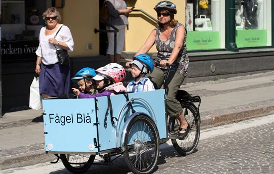 Christiania Bikes +30 Cargo – Sähköavusteinen Laatikkopyörä | Korkealaatuinen Lastipyörä - Image 6
