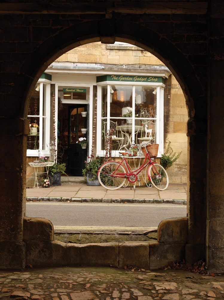 Pashley Britannia Naisten 8-vaihteinen Pyörä – Sininen | Korkealaatuinen Naisten Polkupyörä - Image 5