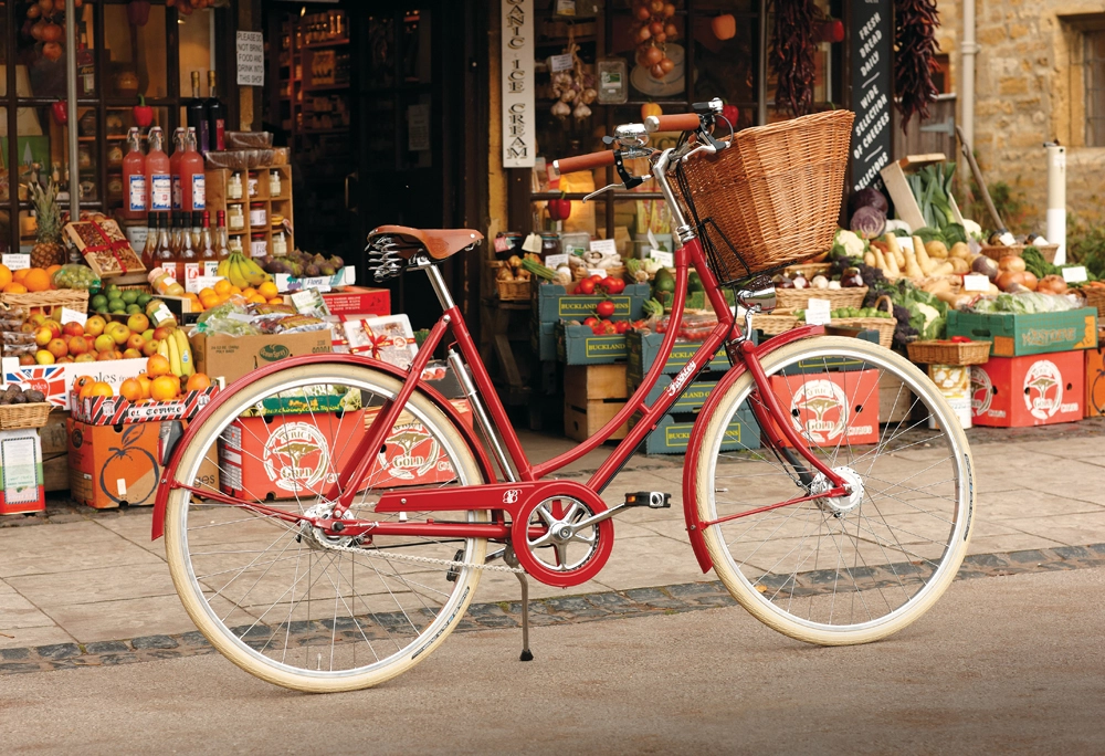 Pashley Britannia Naisten 8-vaihteinen Pyörä – Sininen | Korkealaatuinen Naisten Polkupyörä - Image 6